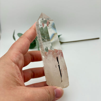HQ Clear Quartz Points in Custom Stands