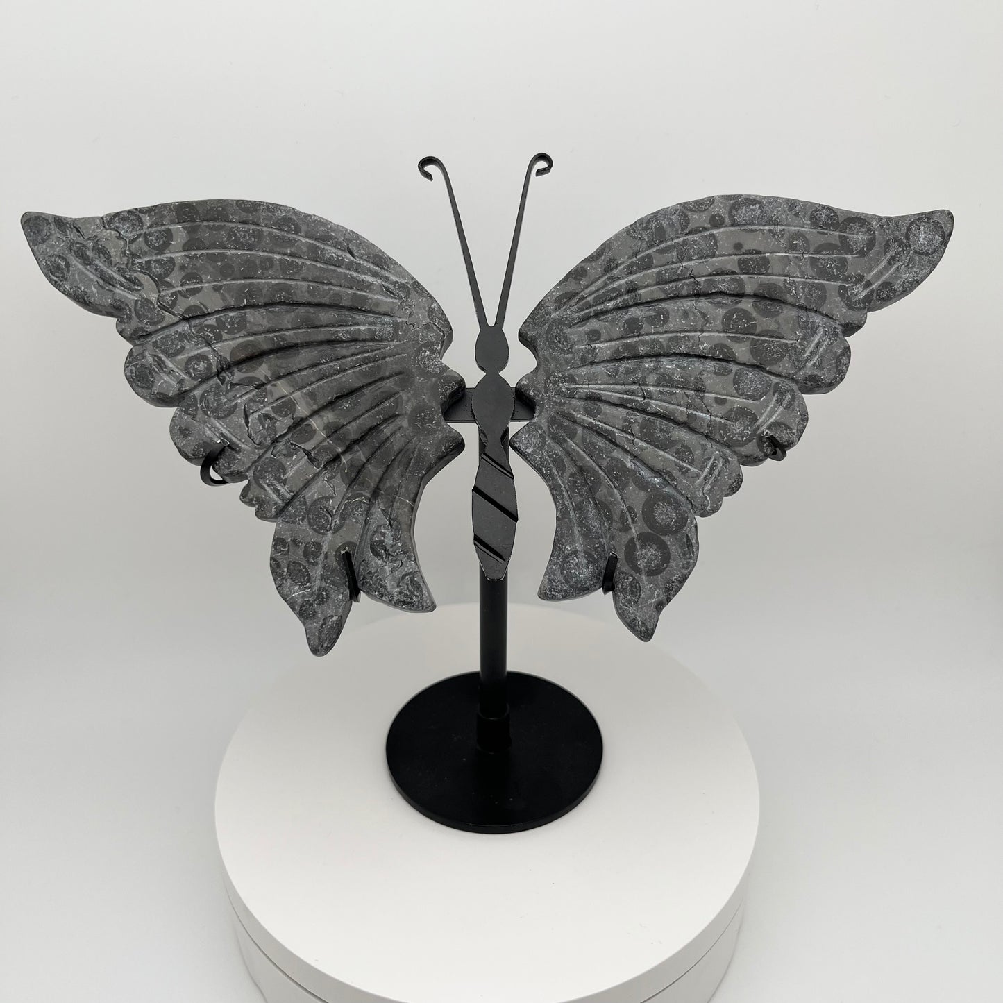 Leopard Jasper Wings