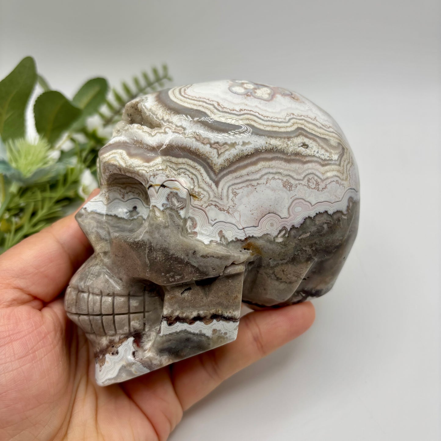 XL Mexican Crazy Lace Agate Skull
