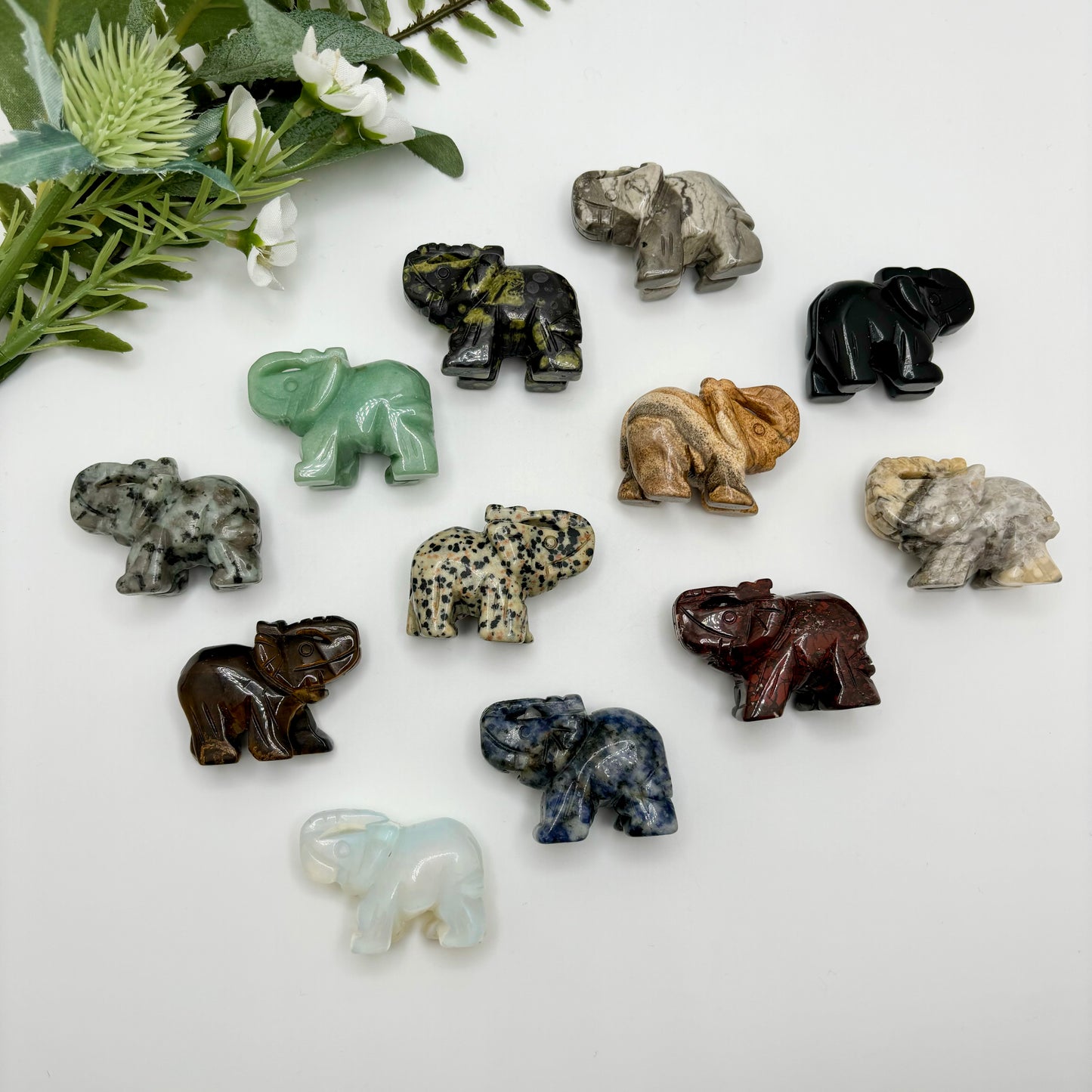 Lucky Elephants