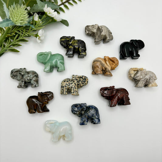 Lucky Elephants