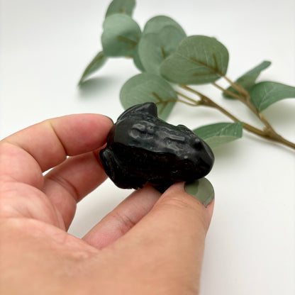 Obsidian Froggy