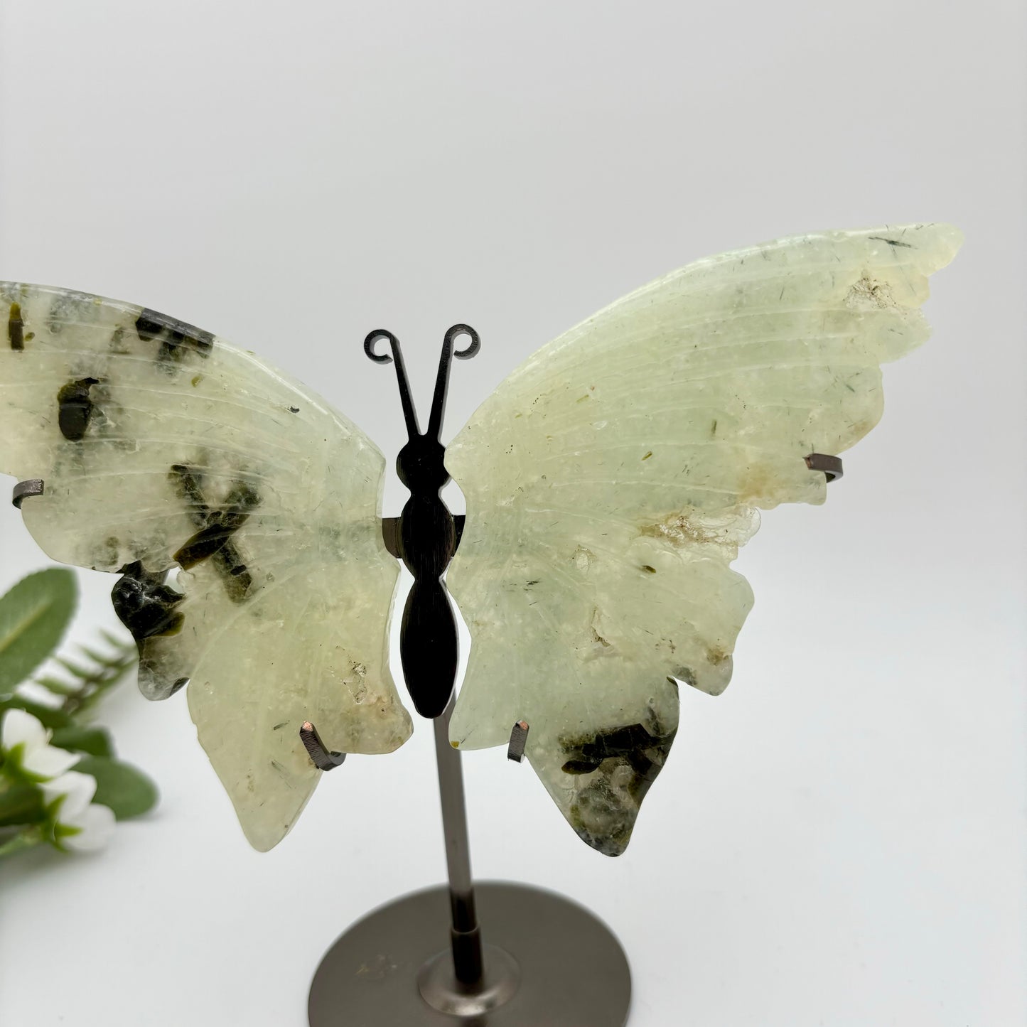 Prehnite Butterfly Wings