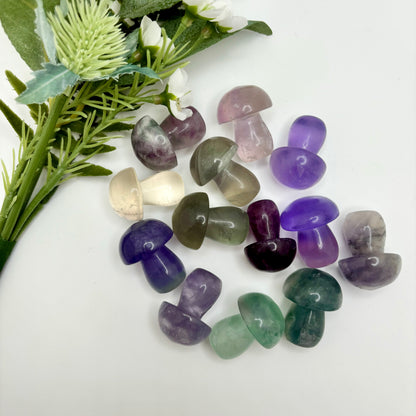 Fluorite Mushrooms
