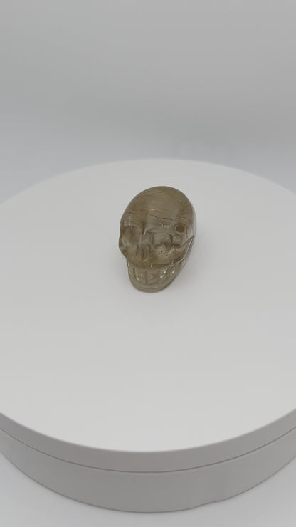 Golden Rutile Skull