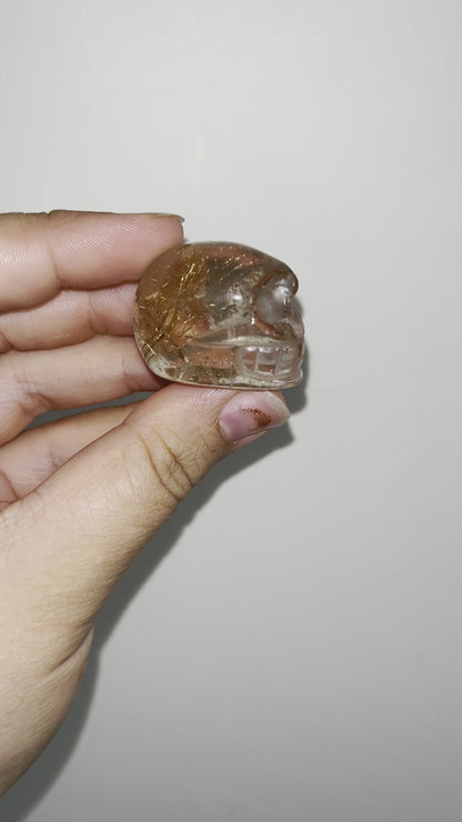 Golden Rutile Skull