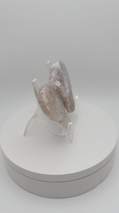 Pink Amethyst Butterflies