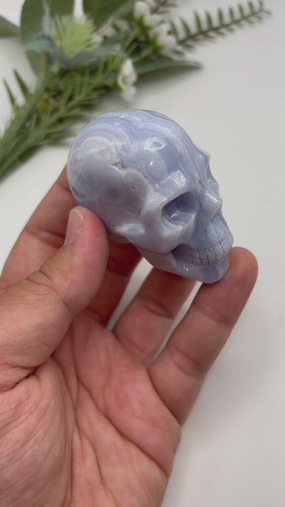 HQ Blue Lace Agate Skull