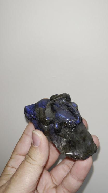 Labradorite Frogs
