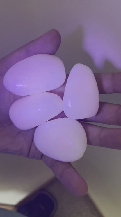 Mangano Calcite Palm Stone