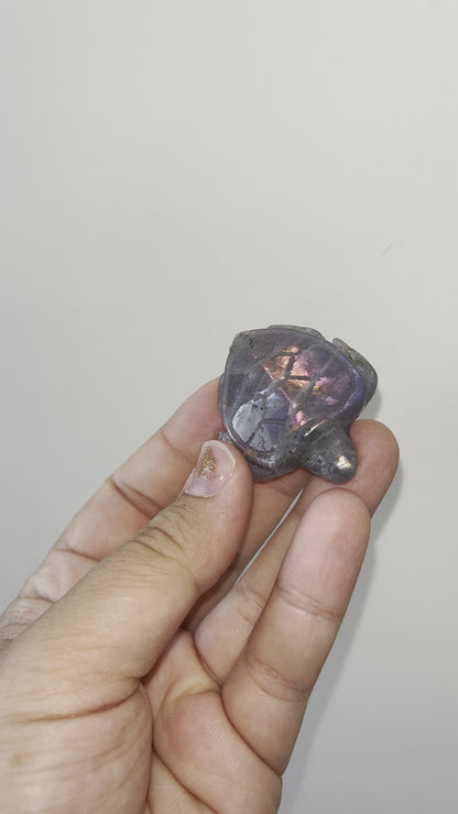 Purple Labradorite Sea Turtles