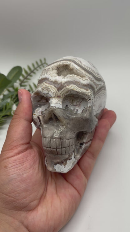 XL Mexican Crazy Lace Agate Skull