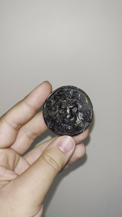 Labradorite Lion Medallions