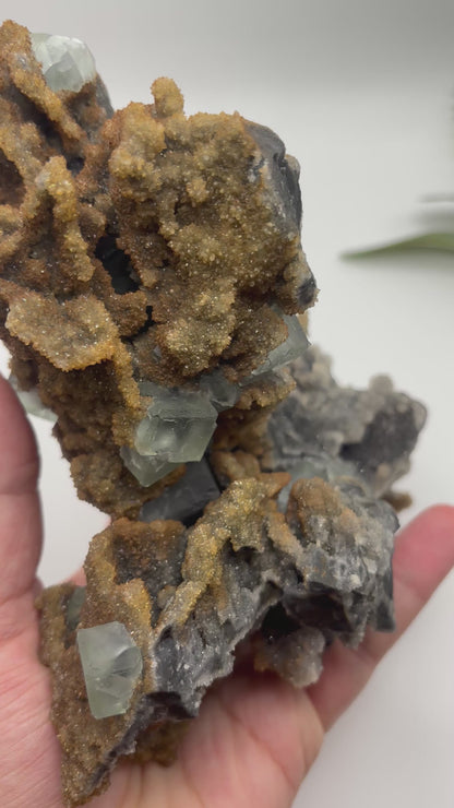Cubic Fluorite on Sphalerite Specimen