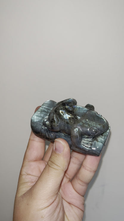 Labradorite Frogs