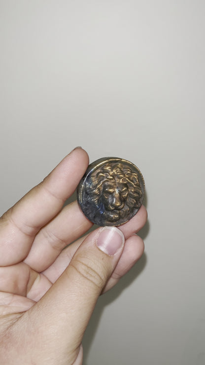 Labradorite Lion Medallions