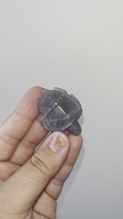 Purple Labradorite Sea Turtles
