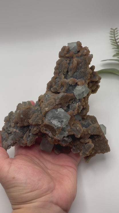 Cubic Fluorite on Sphalerite Specimen