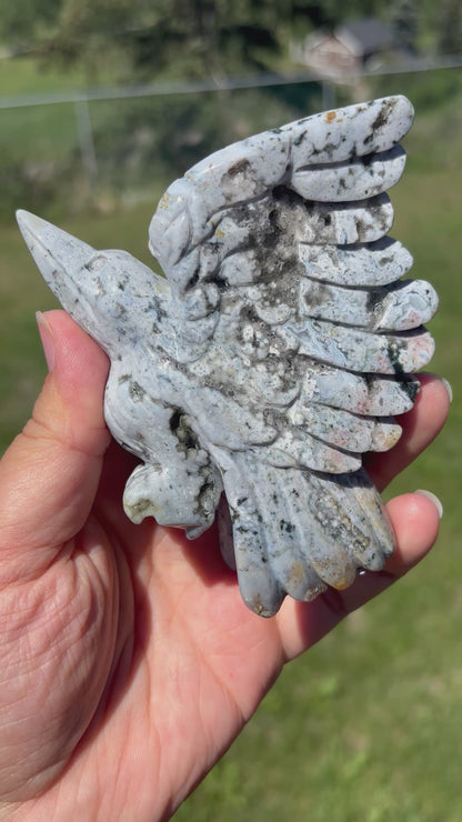 Orbicular Jasper Hummingbird